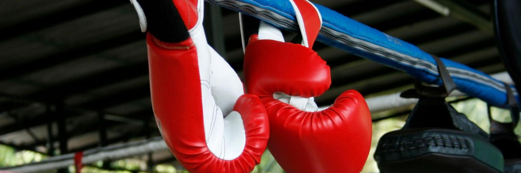 Centro Tiger Muay Thai and MMA Training Camp